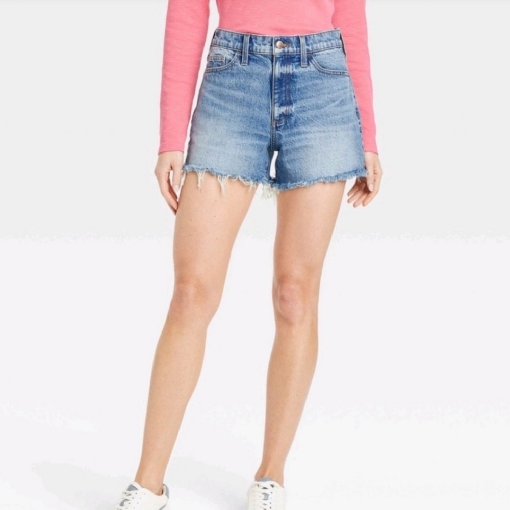 High Rise ‘90s Cutoff Denim Shorts / Medium Blue / Size 10